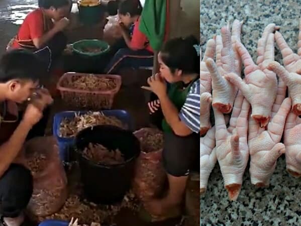 Тайланд. Новости: Тайцев сняли за очисткой куриных лапок с помощью зубов.