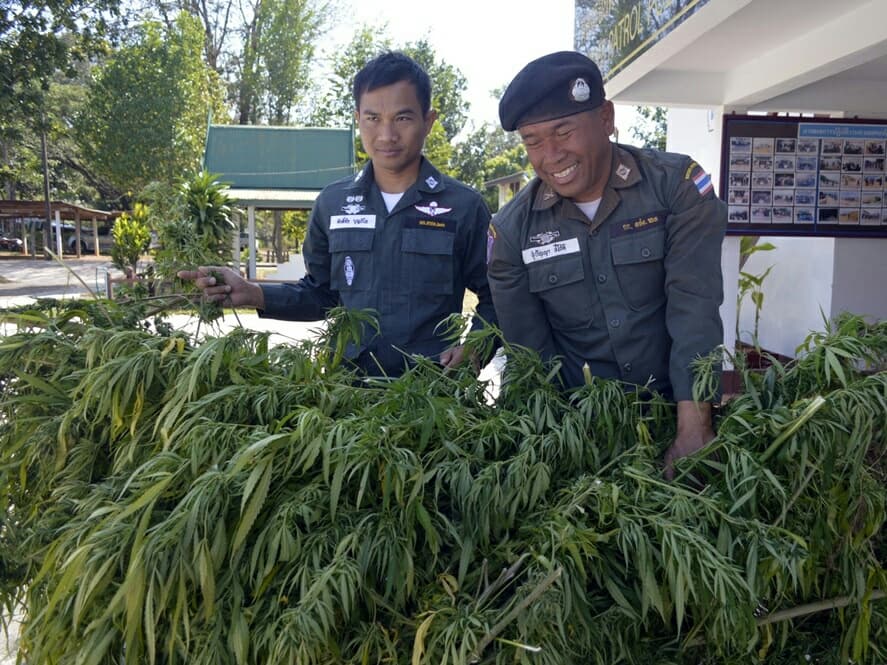 Тайланд. Новости: Тайские власти разрешили использование медицинской марихуаны.