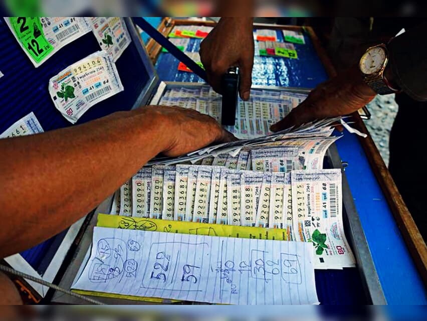 Сотни тайцев скупают лотереи, надеясь увидеть выигрышные числа в коре древнего дерева.