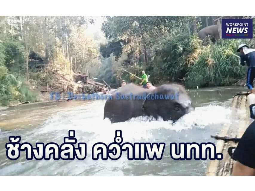 Слонёнок искупал туристов, которые плыли на плоту по реке в Чанг-Мае.