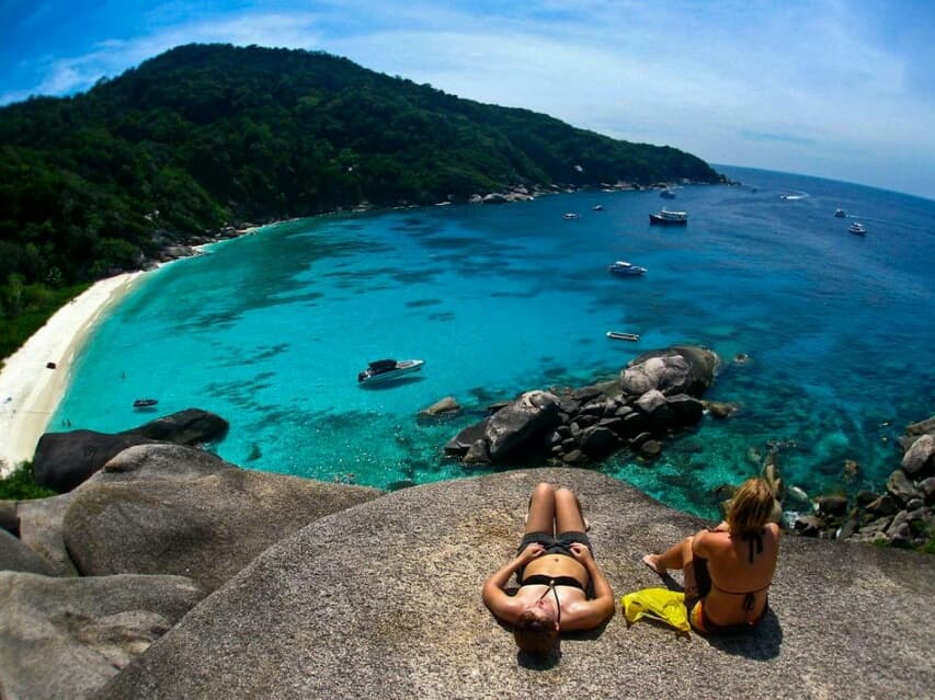 Вот что влечет редких морских животных к Симиланским островам.