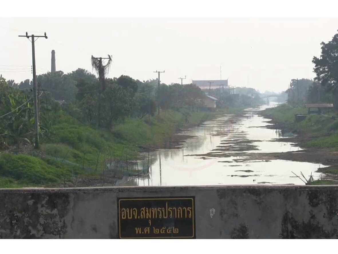Тайские рыбные и креветочные фермы остались без воды из-за засухи.