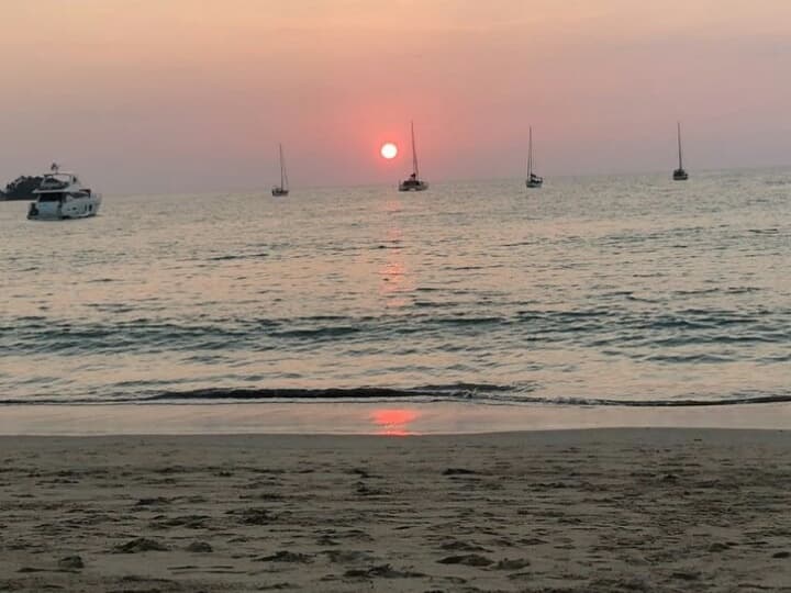 Впервые за 7 лет морская кожистая черепаха отложила яйца на Пхукете.