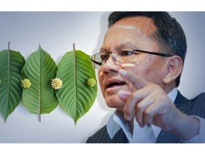 Кабмин Таиланда разрешил исключить кратом из списка наркотиков.