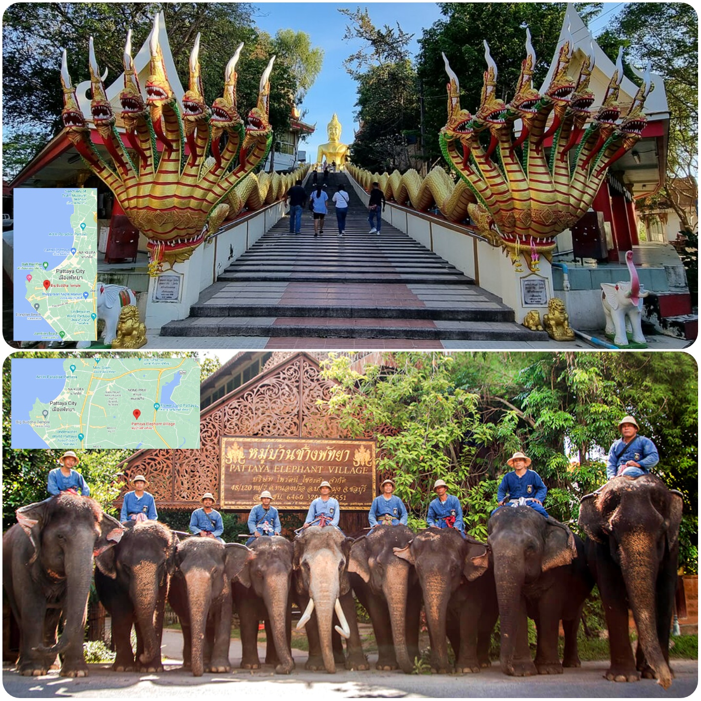 Big Buddha / Elephant Village