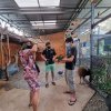 Контактный зоопарк «Аквариум монстров»