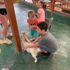 Детские приключения — фотогалерея 01