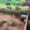 Детские приключения — фотогалерея 01