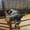Детские приключения — фотогалерея 01