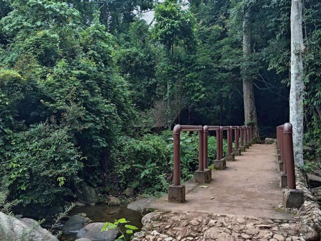 Джунгли Тур