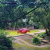 Кхао Кхео, Тайское сафари и Сири Парк — фотогалерея 01
