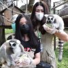 Фото с экскурсий в Паттайе. - Экскурсии на полдня в Паттайе. - Кхао Кхео VIP и остров лемуров — фотогалерея 02