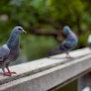 Новый вечерний Бангкок — фото 13