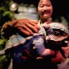 Парк юрского периода и круиз на закате с ужином — фото 2