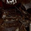 Следы Будды — фото 6