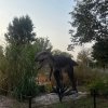 Семейный Зоотур — фотогалерея 01
