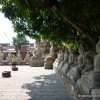 ayttaya_ekskursiya_iz_pattaya00013