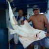 2017 Морская рыбалка в Паттайе.