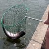 Озерная рыбалка на сомов.