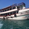 Pattaya Bay Cruise.