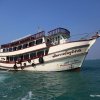 Pattaya Bay Cruise.