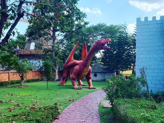 В мире животных