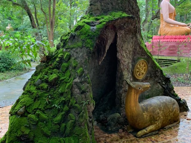 В поисках сапфиров