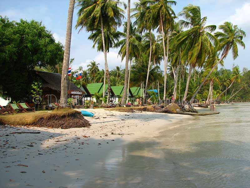 Островная экскурсия из Паттайи. Остров Ко Куд. Отель Клонг хин 3*.