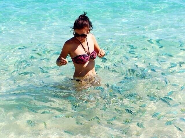 Таиланд. Паттайя. Острова Ко Чанг, Ко Куд, Ко Си Чанг, дикарем.