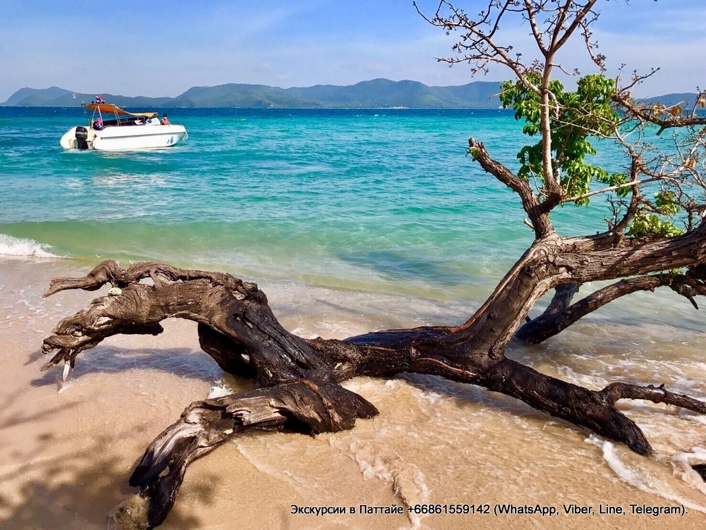 Экскурсия "Остров Натали". Паттайя.