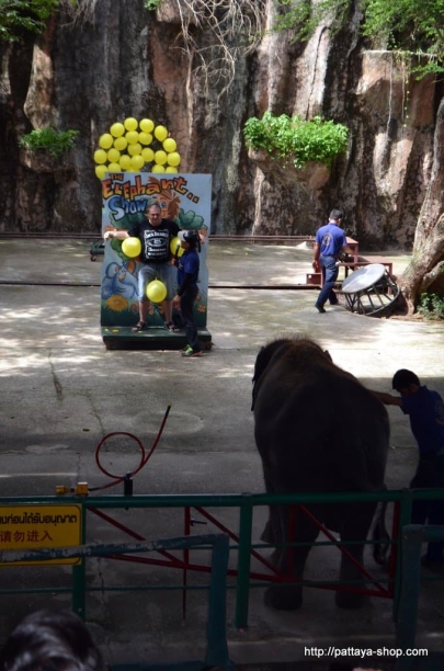 tigrovyy zoopark ekskursiya v pattaye2