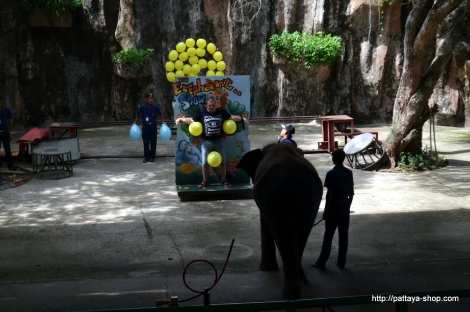 tigrovyy zoopark ekskursiya v pattaye3