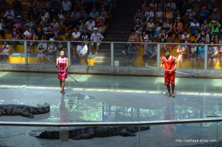 tigrovyy zoopark ekskursiya v pattaye33
