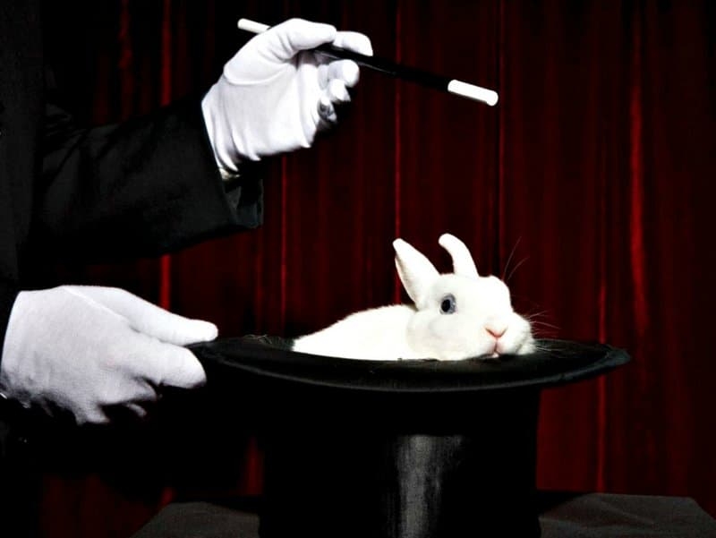 Экскурсия в Паттайе. Тукседо – шоу фокусников.