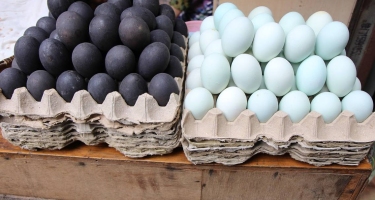 Что происходит с ценой на куриные яйца в Таиланде? Причины подорожания