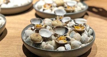 🦪🦀 Необычно изобильный урожай моллюсков шокировал жителей Си Рачи